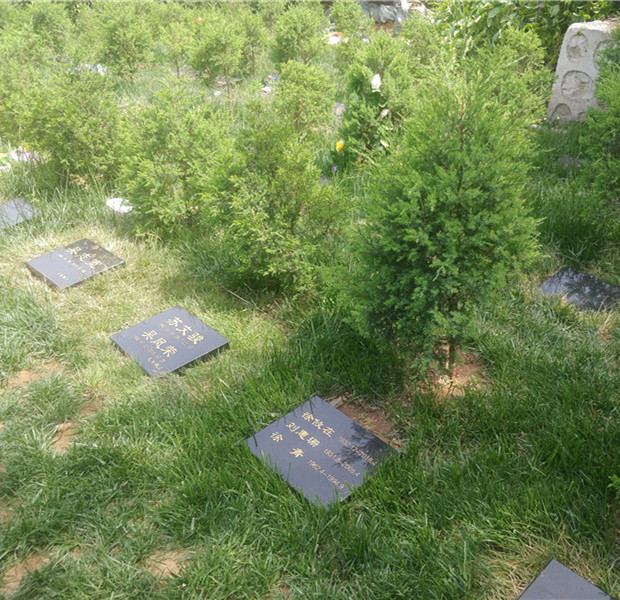 树葬卧碑